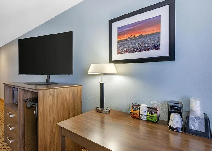 Best Western South Plains Inn & Suites