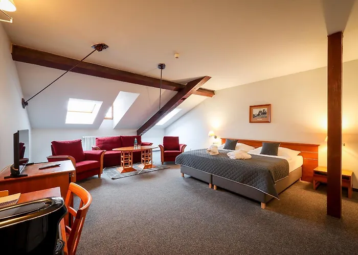 Lh Hotel Dvorak Tabor Congress & Wellness