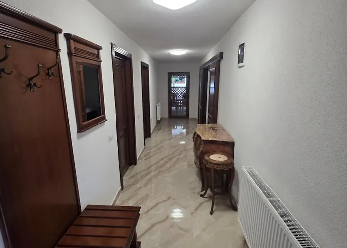 Hotel Trei Brazi