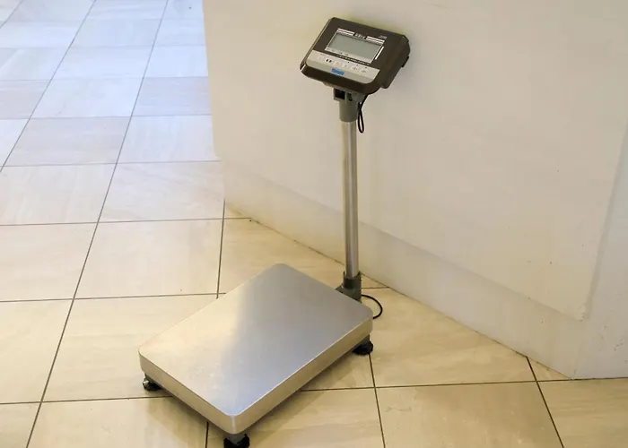 Richmond Hotel Narita