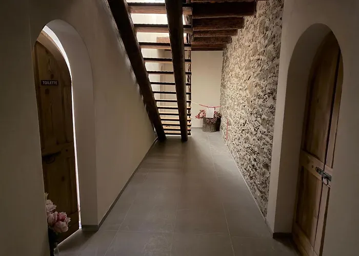 B&B Belvedere