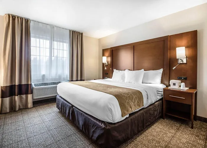 Comfort Suites At Par 4 Resort