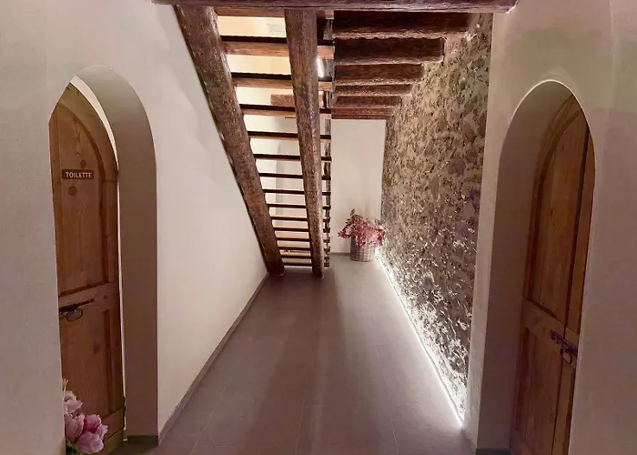 B&B Belvedere