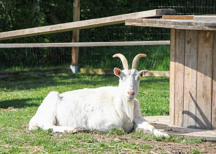 Ferien- und Pferdehof Egelkraut Feriendomizil am Meer