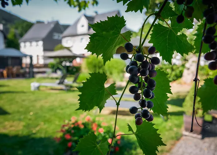 Landhotel Voss im TalVital