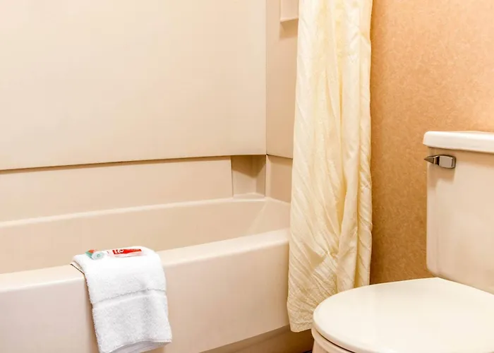 Econo Lodge Holland - Toledo