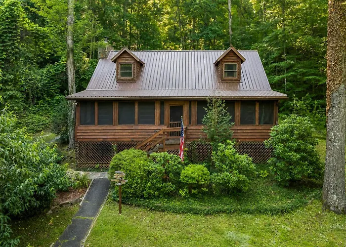 The Mountain Forager Cabin, Bryson City Nc