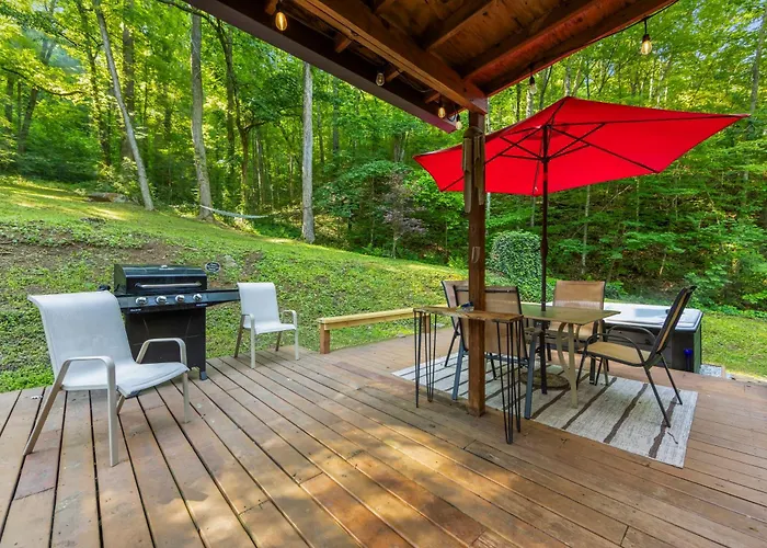 The Mountain Forager Cabin, Bryson City Nc