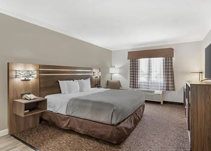 Quality Inn & Suites Beaumont