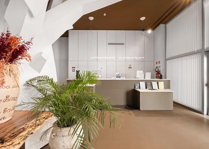 Basic Braga By Axis