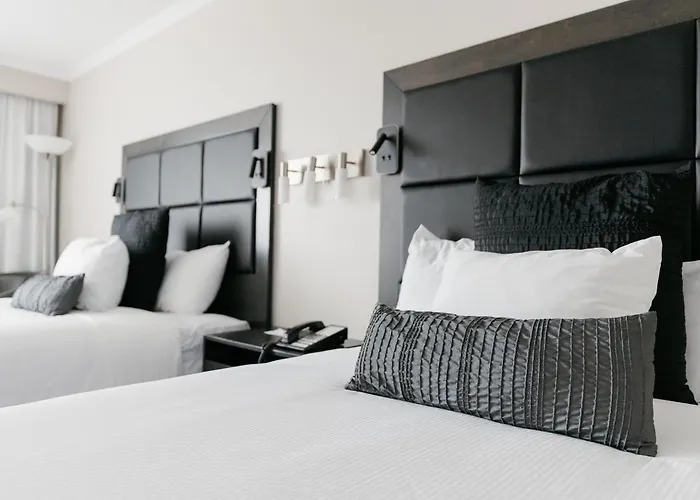 Hotel Universel Alma