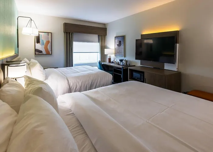 Comfort Inn & Suites New Iberia - Avery Island