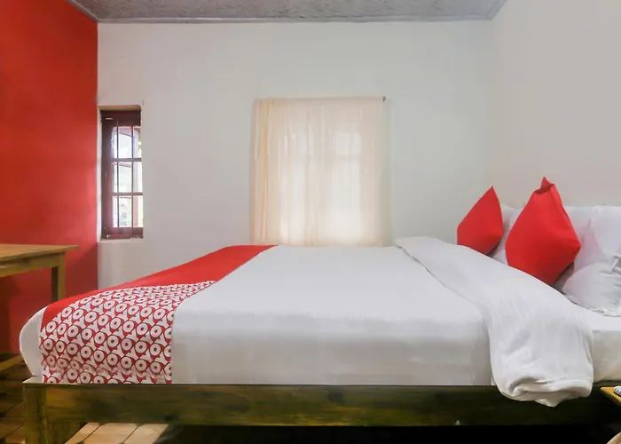 Hotel O Bell'S Bigxa Homestay