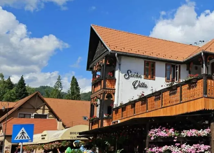 Vila Szoke Sovata