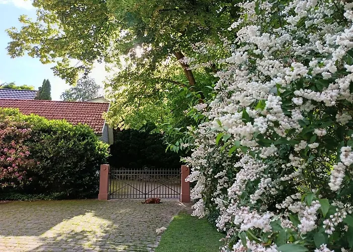 Bed&Breakfast Grünes Gold am Leisberg