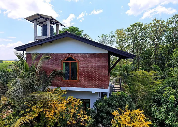 Amba Kola Udawalawa