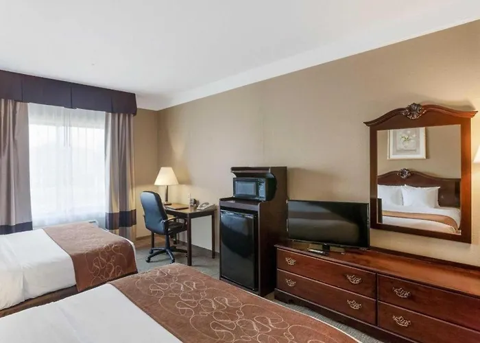 Comfort Suites Plainview