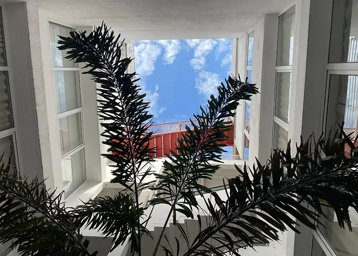 Muchosur Santa Marta