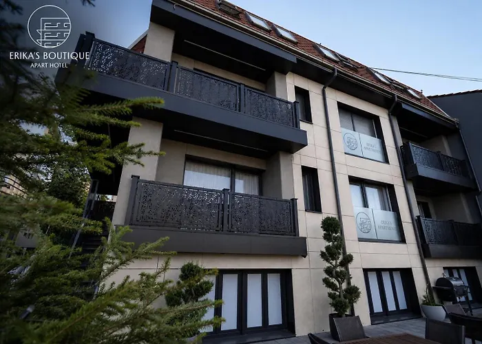 Erika Boutique Hotel