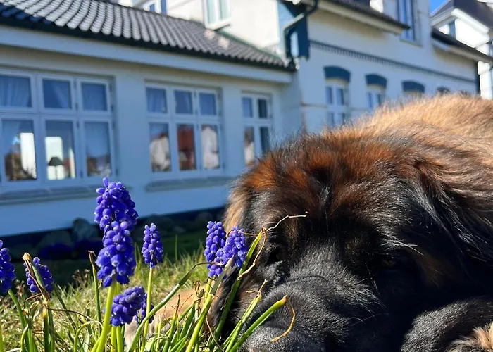 Strandhotel Sylt Wenningstedt