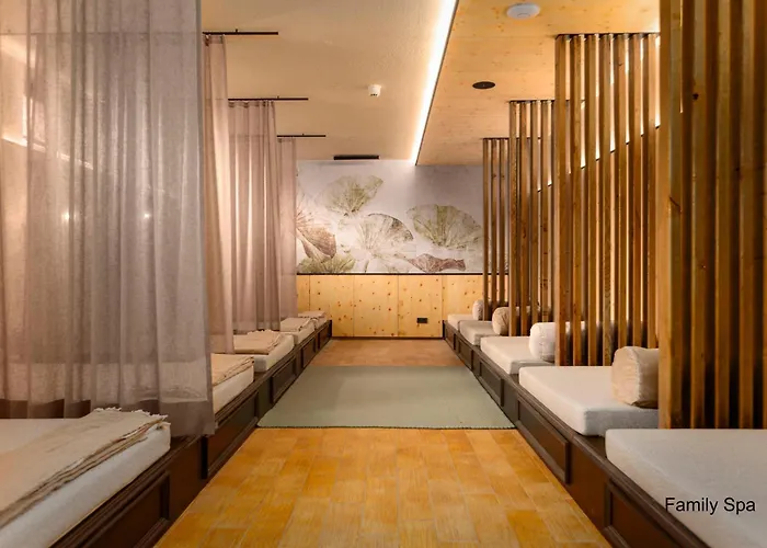 Carpe Solem Kaprun Hotel 4