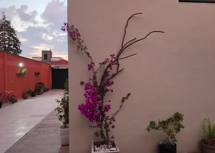Casa Natla