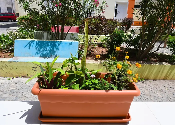 Hotel Rocha