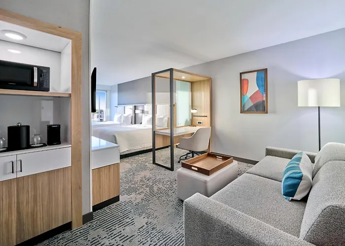 Springhill Suites By Marriott Phoenix Gilbert