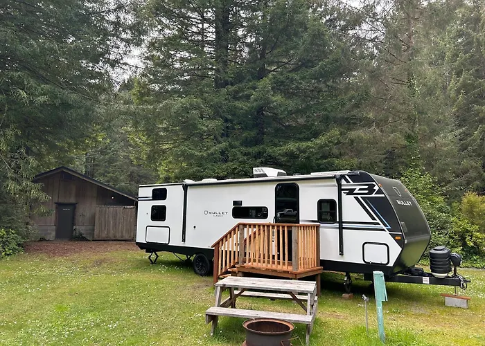 The Bunkhouse Camper