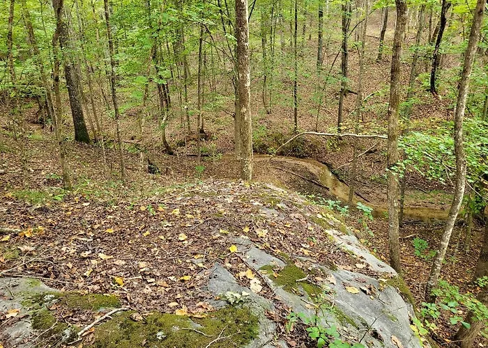 Secluded Woodland Geodome With Panoramic Views & Private Trails In Milledgeville, Georgia