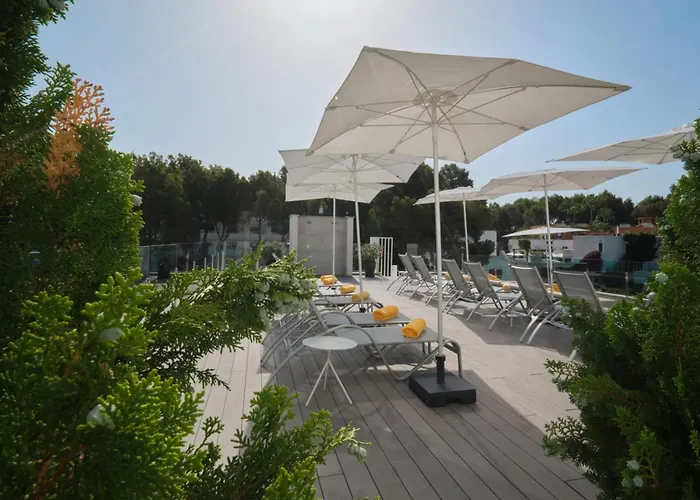 Bq Paguera Boutique Hotel - Adults Only