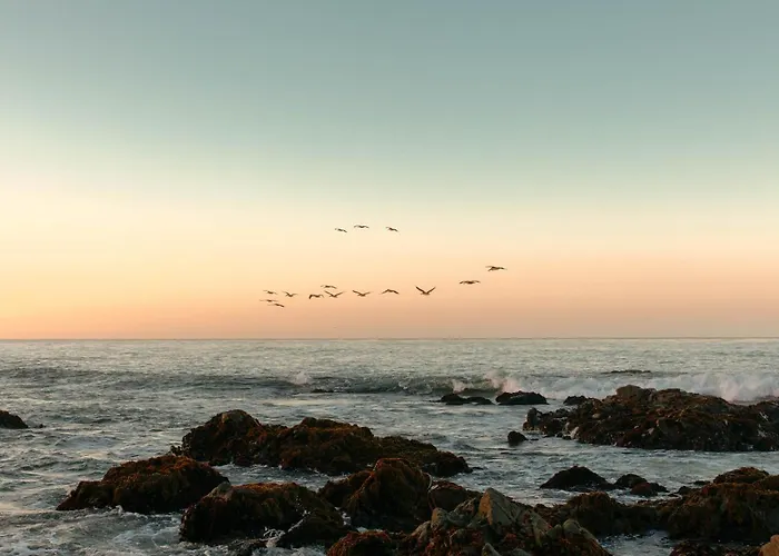Oceanpoint Ranch