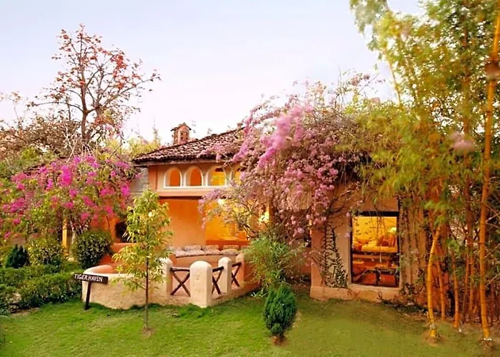 Tuli Tiger Resort