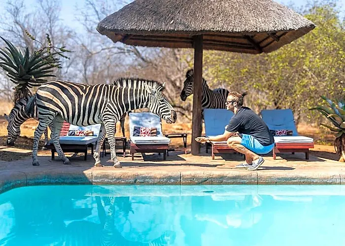 Royal Kruger Lodge And Spa 4