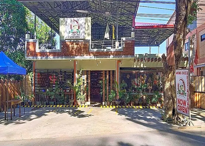 Mom Shie'S Apartelle La Union