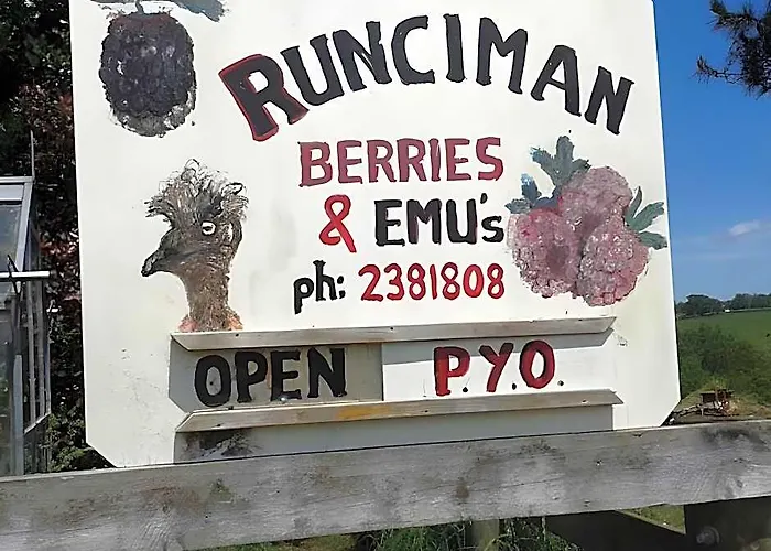 Runciman Berries And Emus B&B