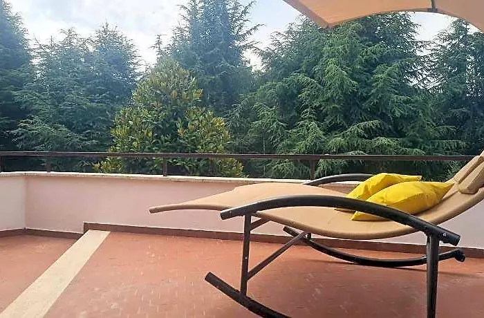 Il Sogno Delle Rondini