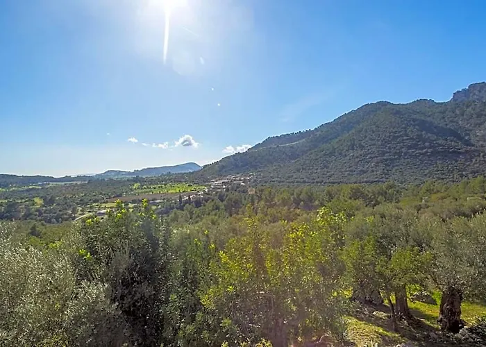 Finca Es Castell