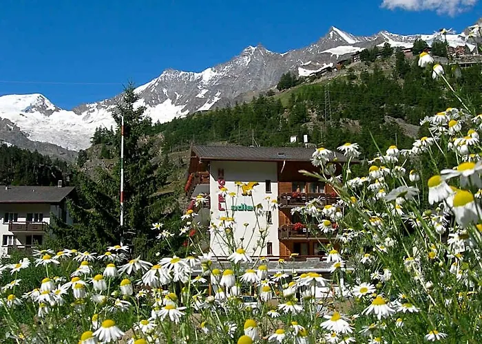 Hotel Adler