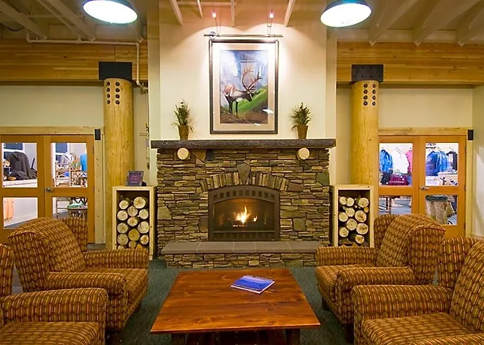 Denali Park Village