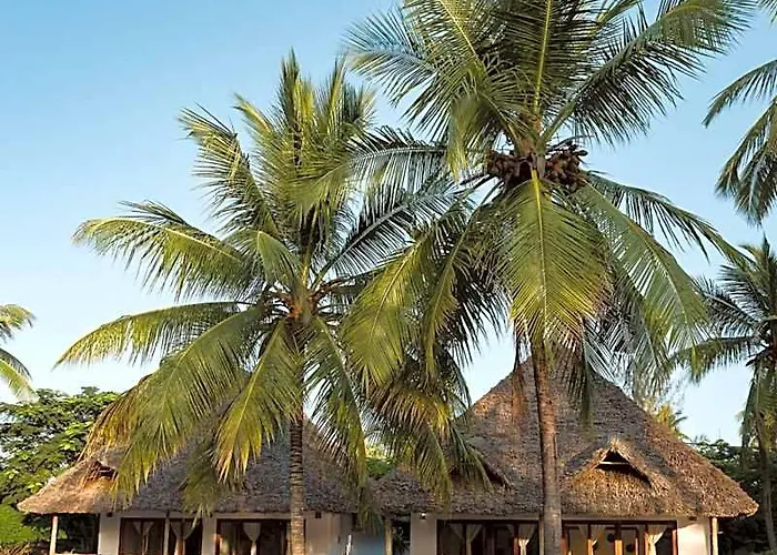 Bahati Sunset Bungalows Michamvi