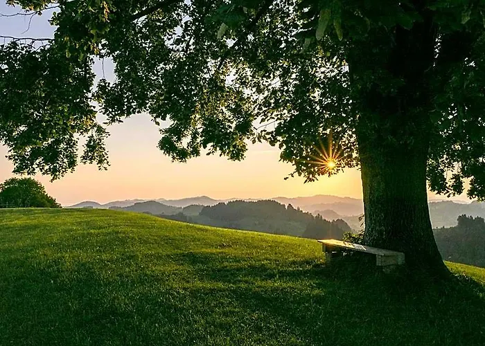 Vegan Health Hotel Sonnenberg