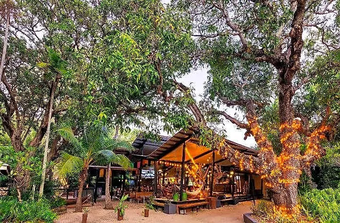 Koala Park By Bounce