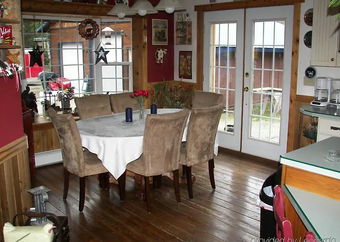 Blonde Bear Bed And Breakfast