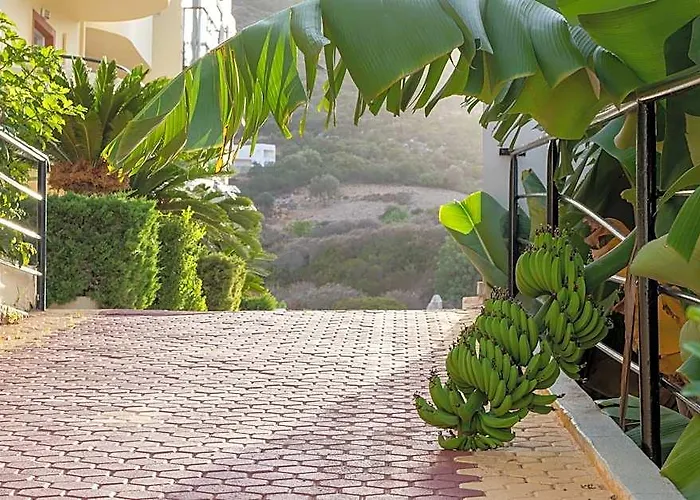 Elpis Studios & Apartments