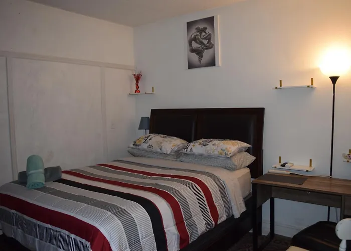 Miami Drip Star Life Hostel
