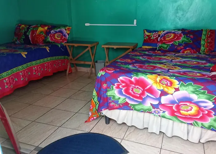 Private Rooms, Dayly Tours , Rental Scooter