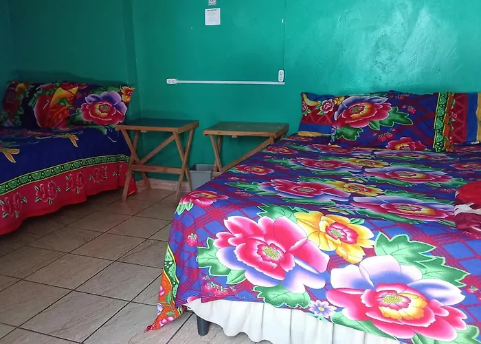 Private Rooms, Dayly Tours , Rental Scooter