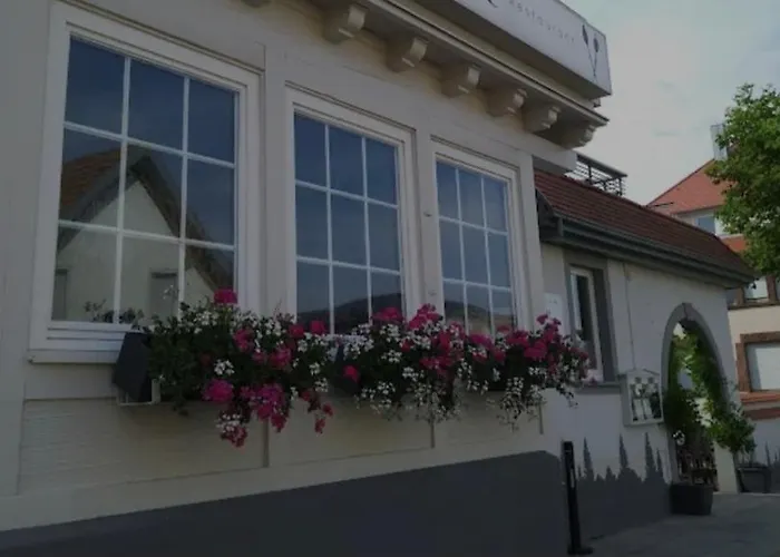 Hotel Maxsoyi