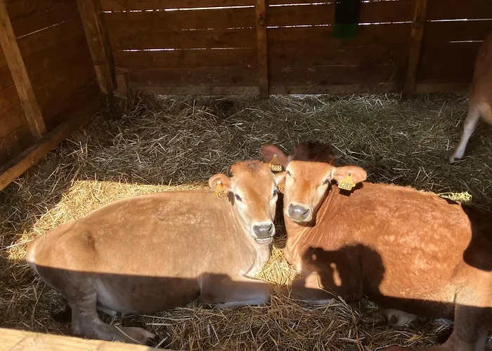 Ferme De La Claree